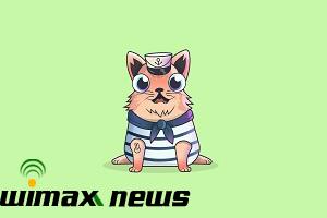 CryptoKitties